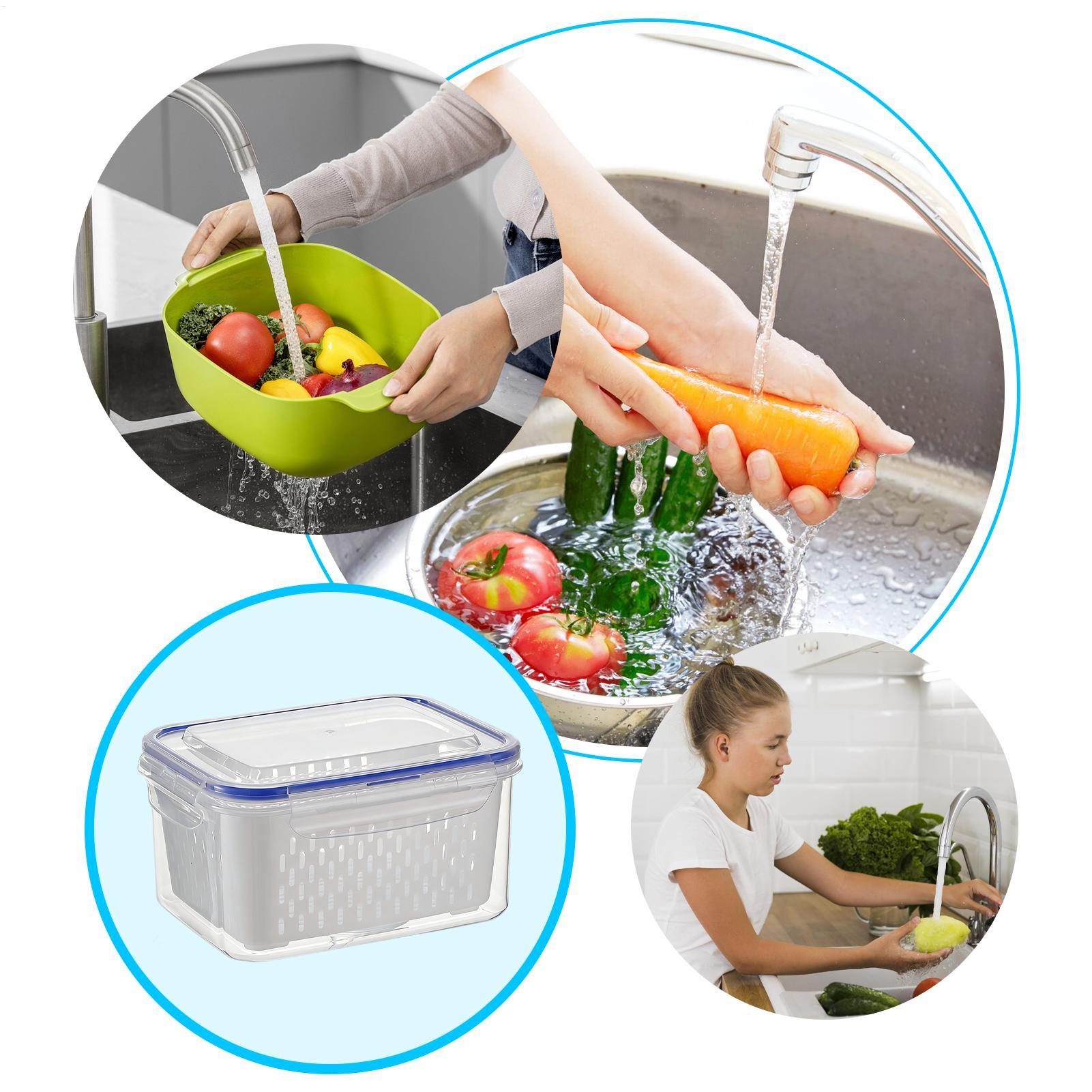 4 In 1 Food Storage Container  - Food Storage With Colander 리뷰 및 가격