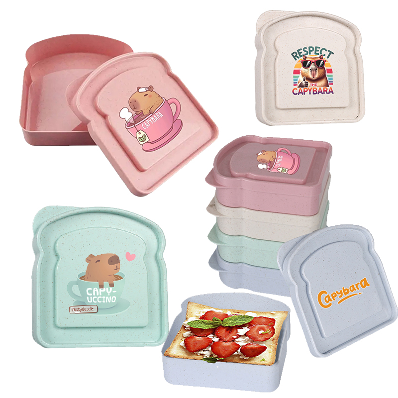 Capybara Sandwich Food Storage - Food Storage Box Plastic 리뷰 및 가격