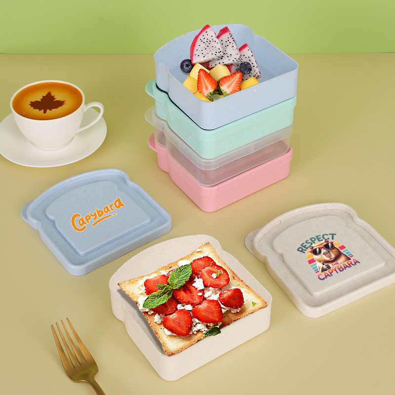 Capybara Sandwich Food Storage - Food Storage Box Plastic 리뷰 및 가격