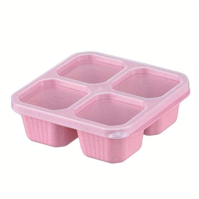 Snack Box with Four Transparen - Food Storage Kits 리뷰 및 가격