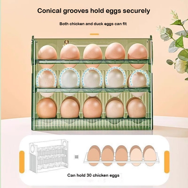 Automatic Rebound Egg Storage  - Food Storage Rack For Kitchen 리뷰 및 가격