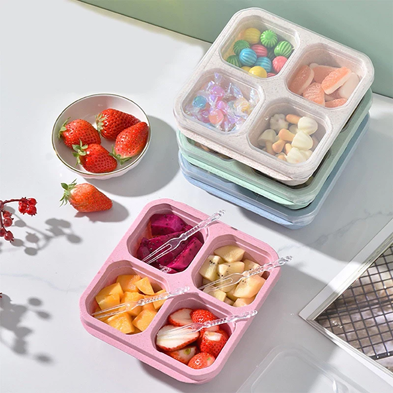 4 Grids Food Storage Box Porta - Food Storage Box Plastic 리뷰 및 가격