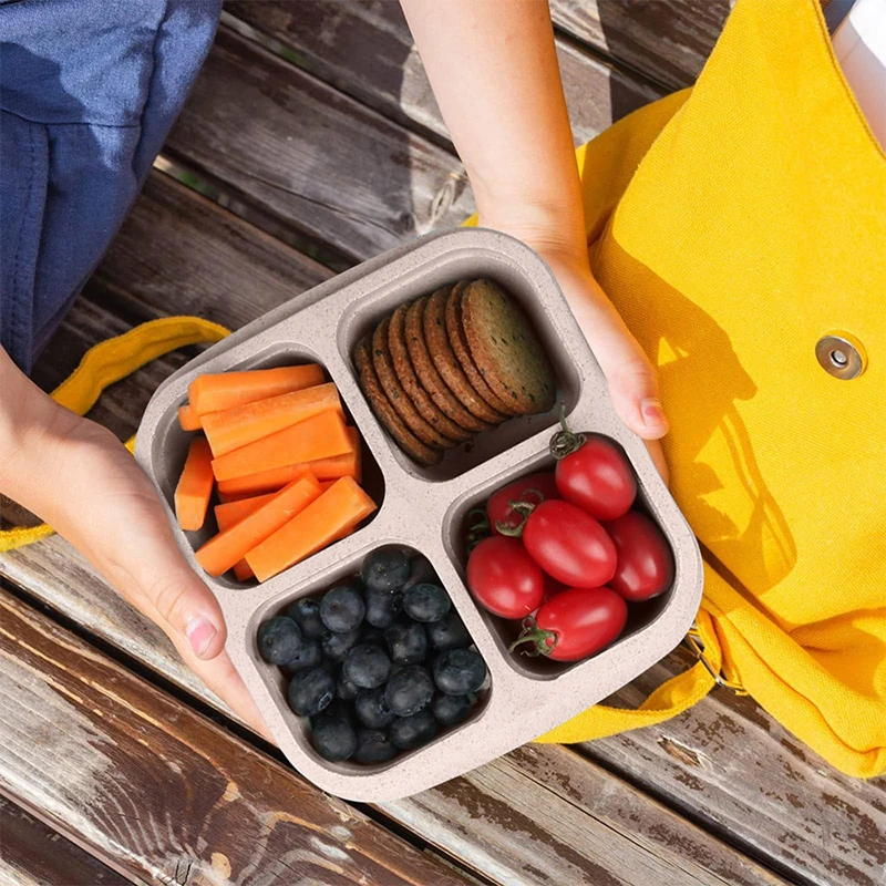 4 Grids Food Storage Box Porta - Food Storage Box Plastic 리뷰 및 가격