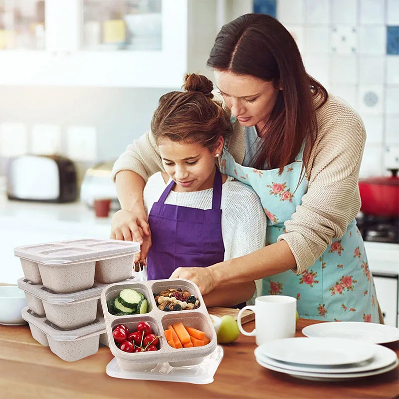 4 Grids Food Storage Box Porta - Food Storage Box Plastic 리뷰 및 가격
