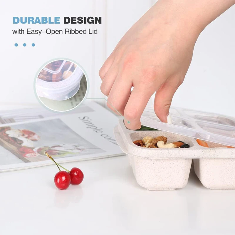 4 Grids Food Storage Box Porta - Food Storage Box Plastic 리뷰 및 가격