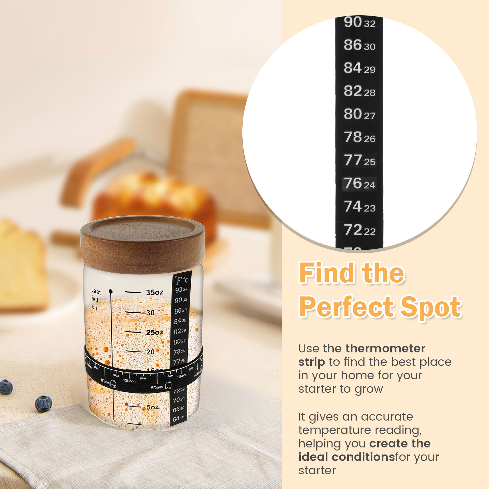 Sourdough Starter Jar Kit 1000 - Food Storage Kits 리뷰 및 가격