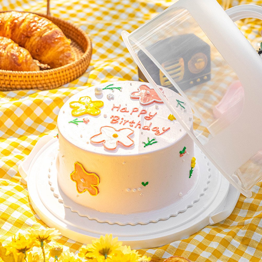 Cake Storage Box 10 Inch Round - Food Storage Box Plastic 리뷰 및 가격