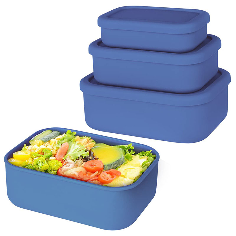 Leak-Resistant Bento Lunch Box - Food Storage Kits 리뷰 및 가격