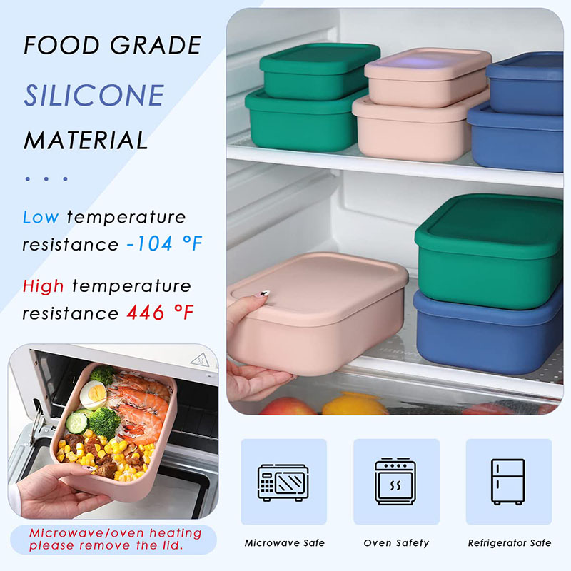 Leak-Resistant Bento Lunch Box - Food Storage Kits 리뷰 및 가격