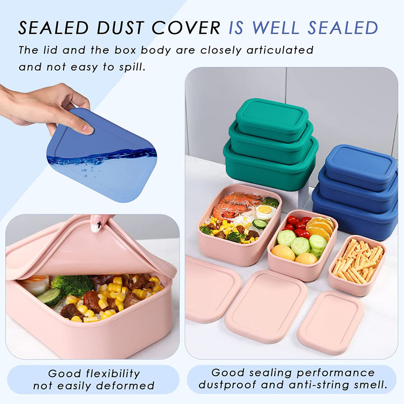 Leak-Resistant Bento Lunch Box - Food Storage Kits 리뷰 및 가격
